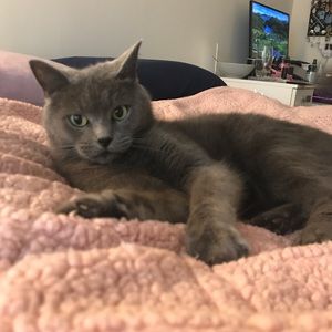 Meet your Posher, Brennan